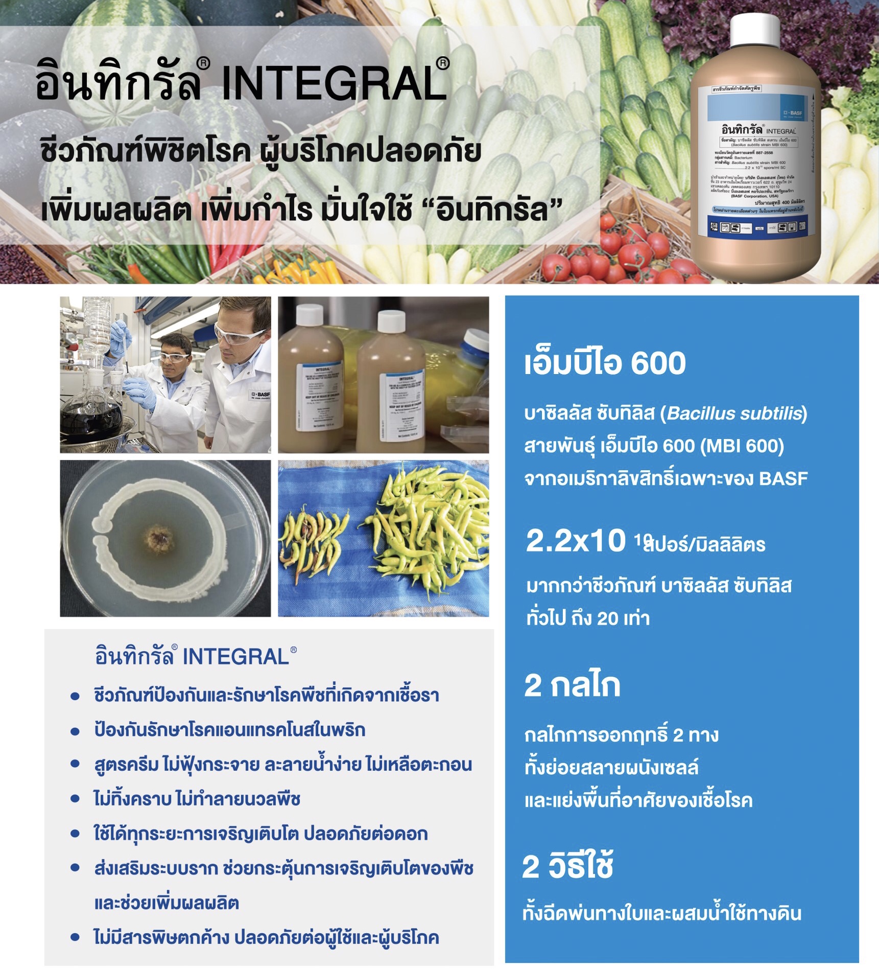 Integral brocure Integral brochure
