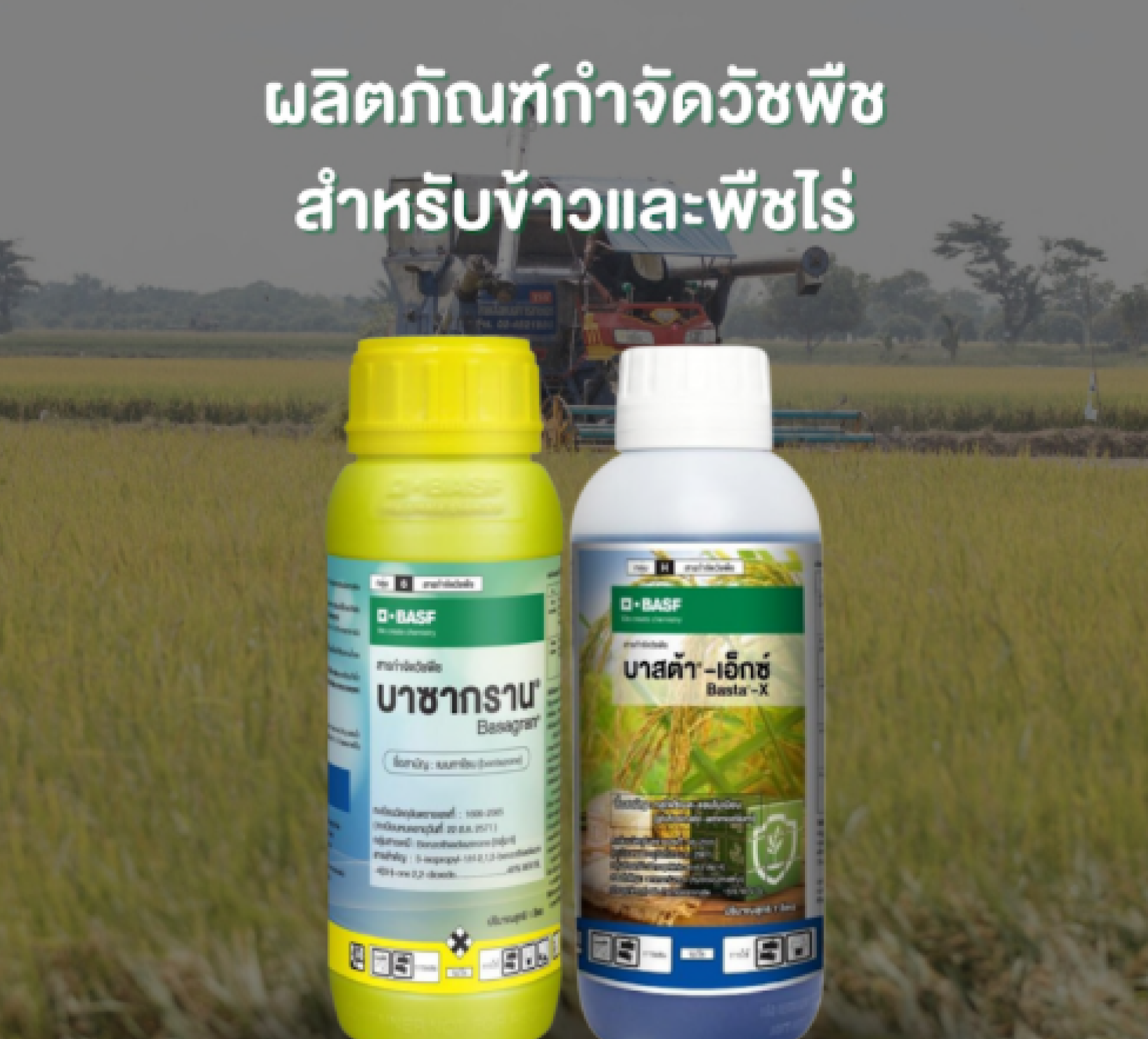 ผลิตภัณฑ์กำจัดวัชพืช สำหรับข้าวและพืชไร่