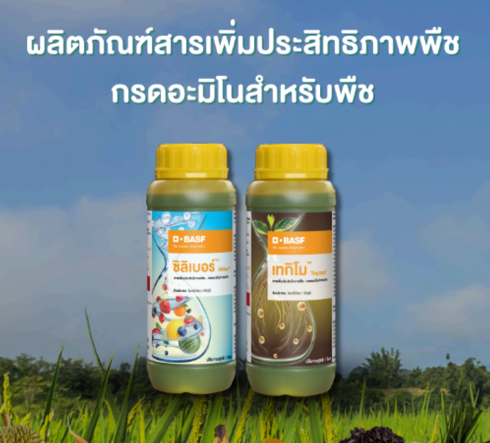 ผลิตภัณฑ์สารเพิ่มประสิทธิภาพพืชกรดอะมิโนสำหรับพืช