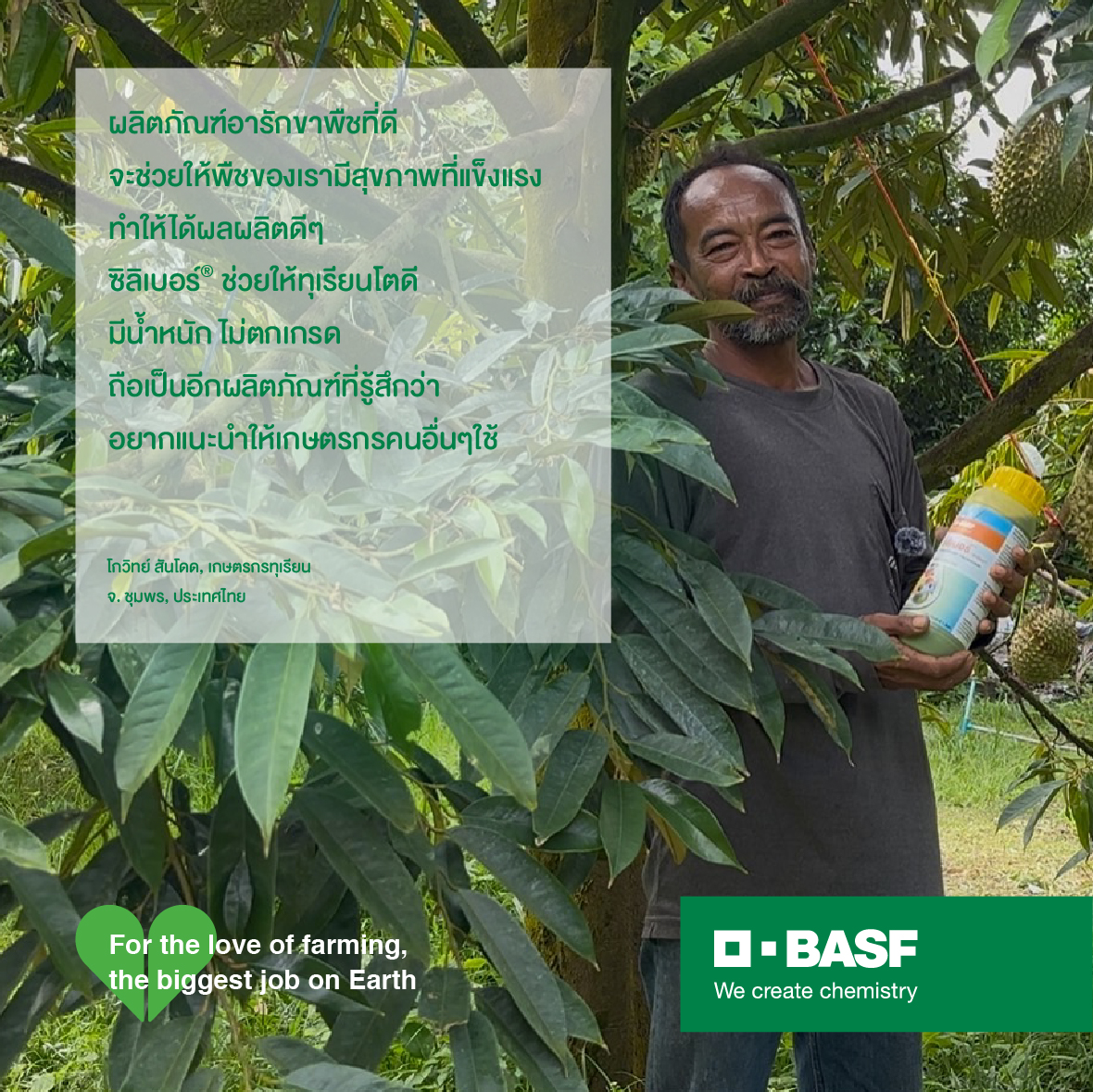 BJOE3 ซิลิเบอร์