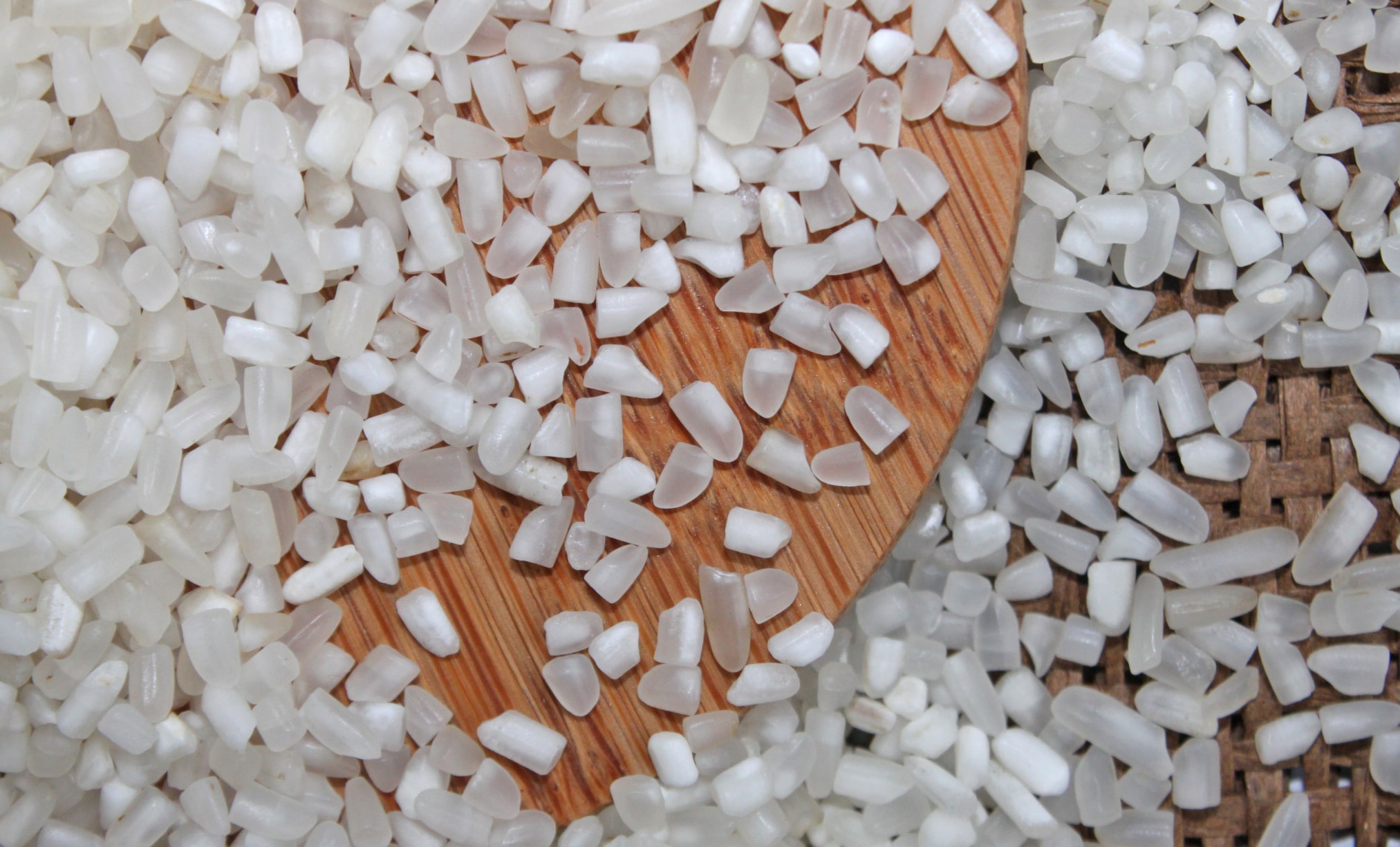 broken and chalky rice grains