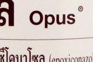 Opus Cover
